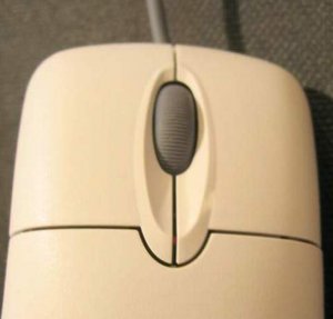 Mouse Types