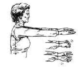 Finger Squeeze: to strengthen the hands.